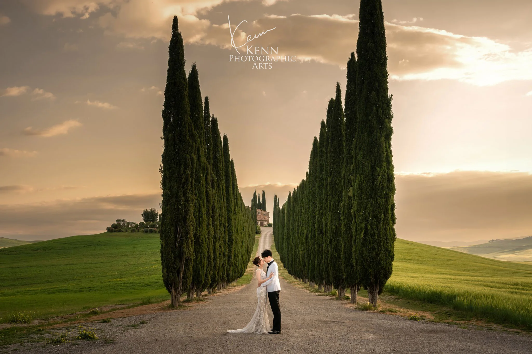 Wincy & Leo in a cypress avenue in Val d’Orcia, Tuscany, at sunset — Florence & Tuscany pre-wedding by Kenn Photographic Arts