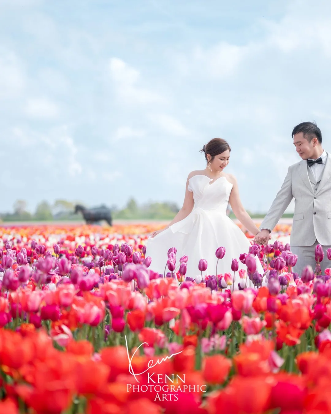 Michelle & Vincent walking hand in hand through Dutch tulip fields — Netherlands pre-wedding by Kenn Photographic Arts