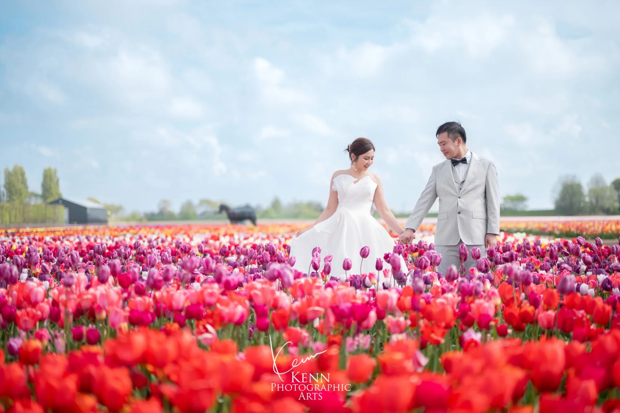 Michelle & Vincent walking hand in hand through Dutch tulip fields — Netherlands pre-wedding by Kenn Photographic Arts