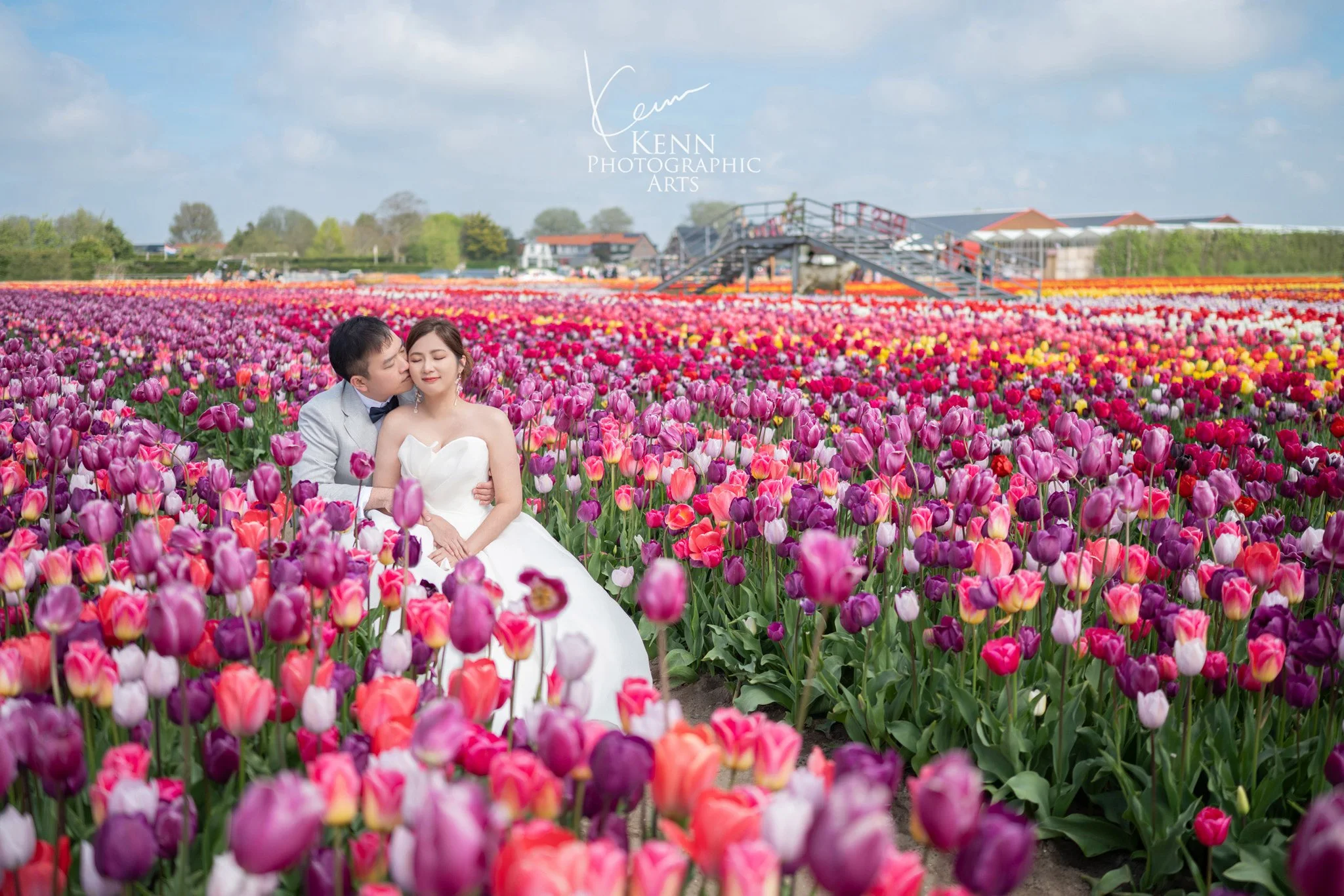Michelle & Vincent sitting among rows of purple and pink tulips — Netherlands pre-wedding by Kenn Photographic Arts
